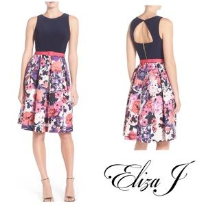 Eliza J Jersey Floral Faille Fit & Flare Dress 10